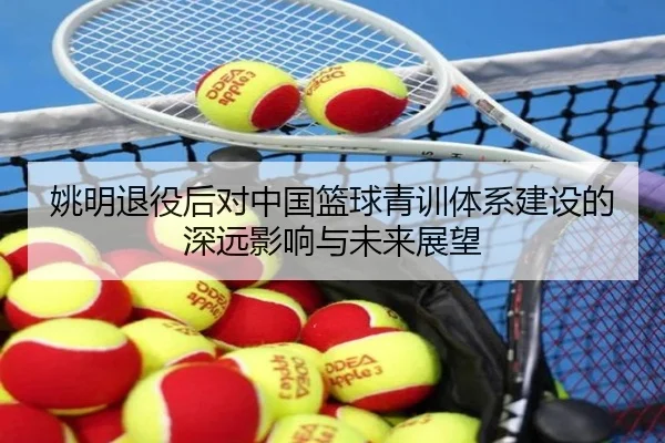 姚明退役后对中国篮球青训体系建设的深远影响与未来展望
