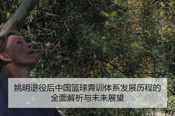 姚明退役后中国篮球青训体系发展历程的全面解析与未来展望